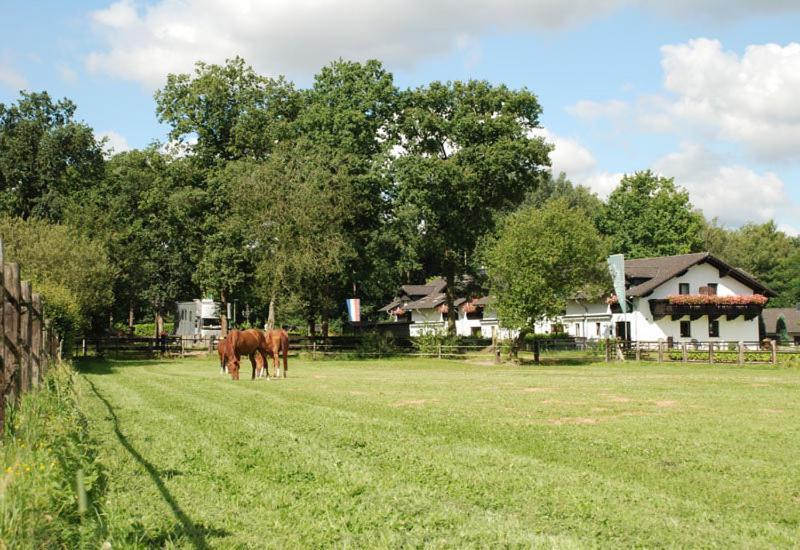 Landhotel Linden Am Venekotensee Niederkrüchten Kültér fotó