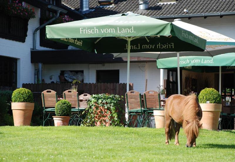 Landhotel Linden Am Venekotensee Niederkrüchten Kültér fotó